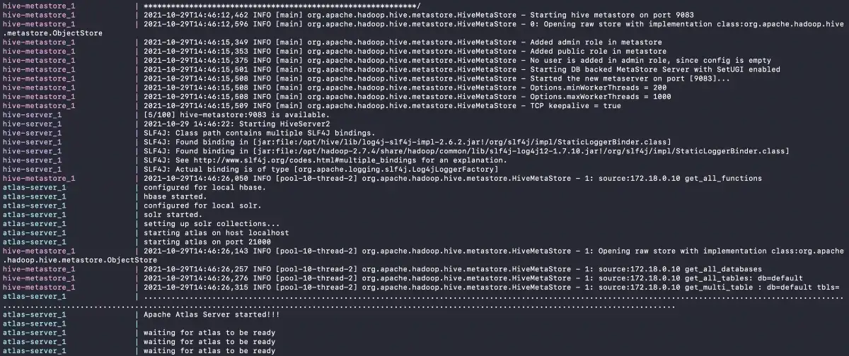 Apache Atlas Server Started