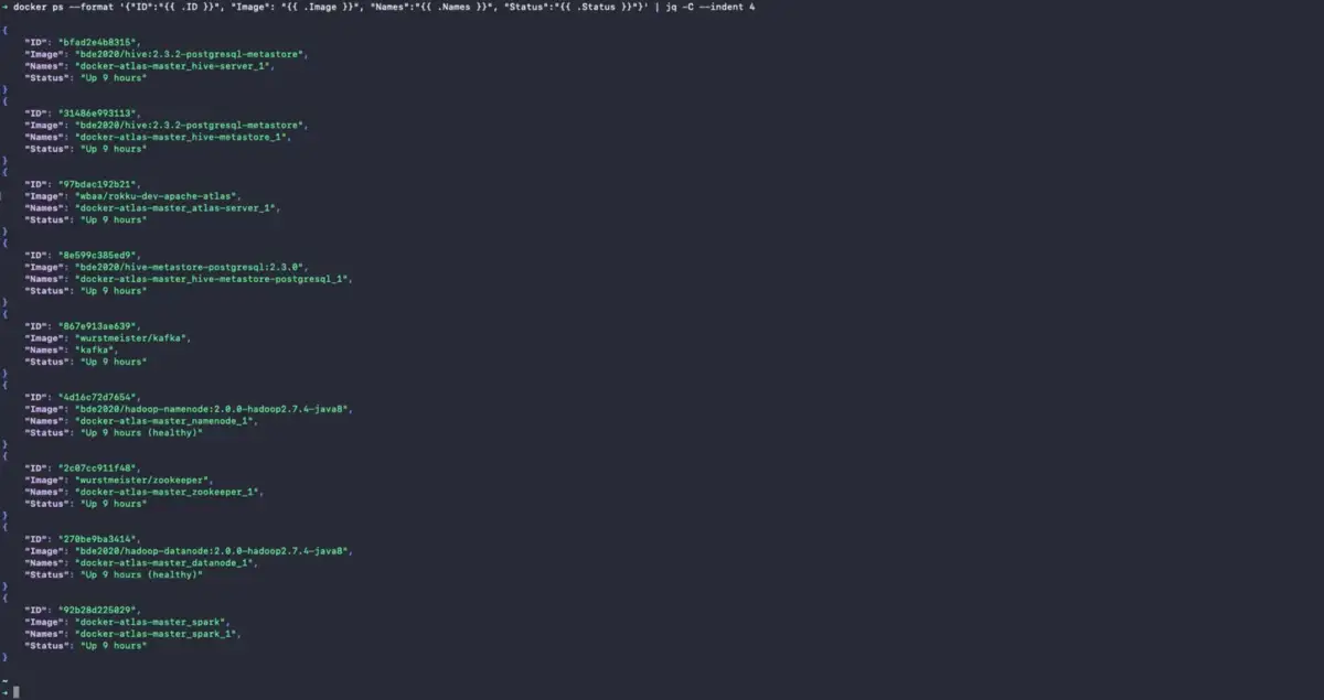 Check Installation Status using docker ps
